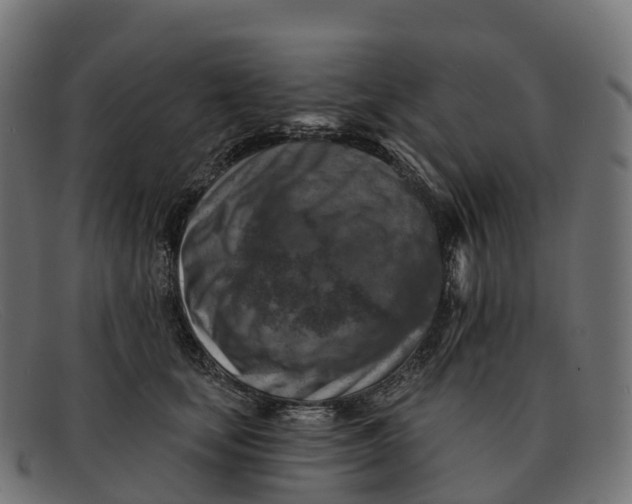 X0000091690659200709131608