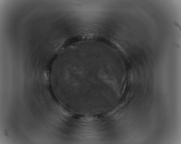 X0000091690661200709131608