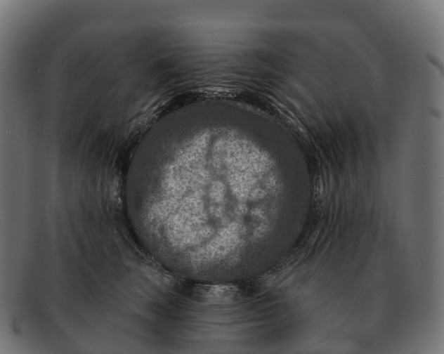 X0000091690663200709131608