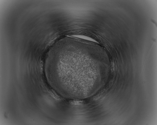 X0000091690664200709131608