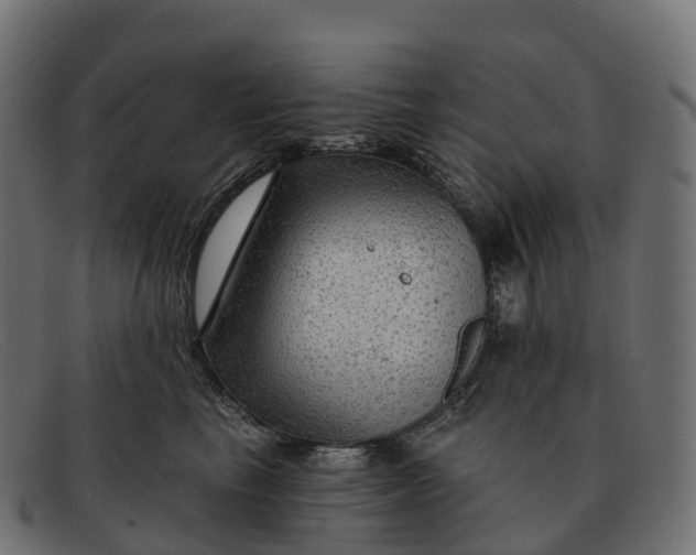 X0000091690665200709131608