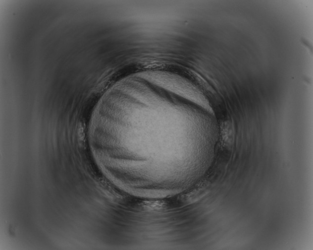 X0000091690667200709131608