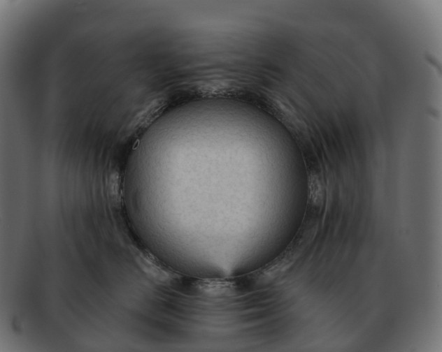 X0000091690670200709131608