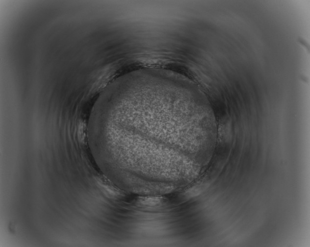 X0000091690671200709131608