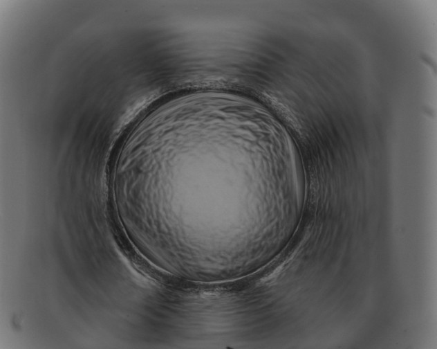 X0000091690674200709131607