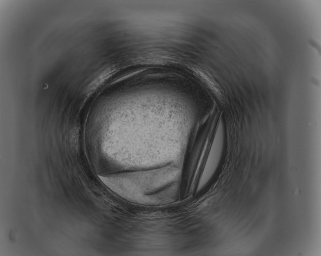 X0000091690675200709131607