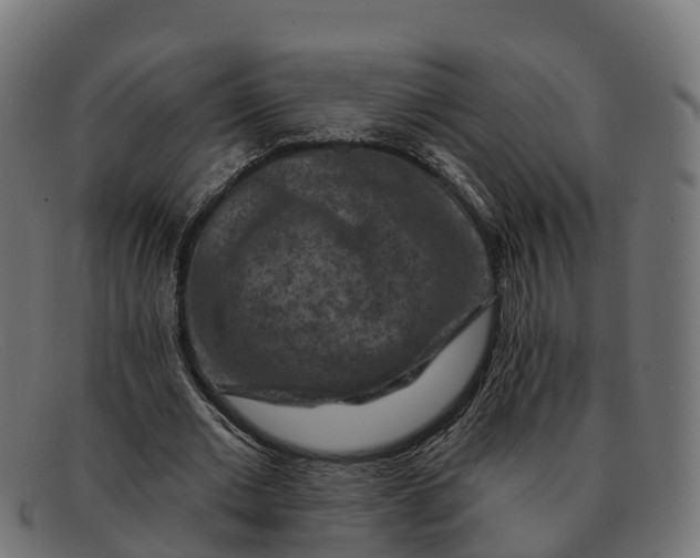 X0000091690677200709131607