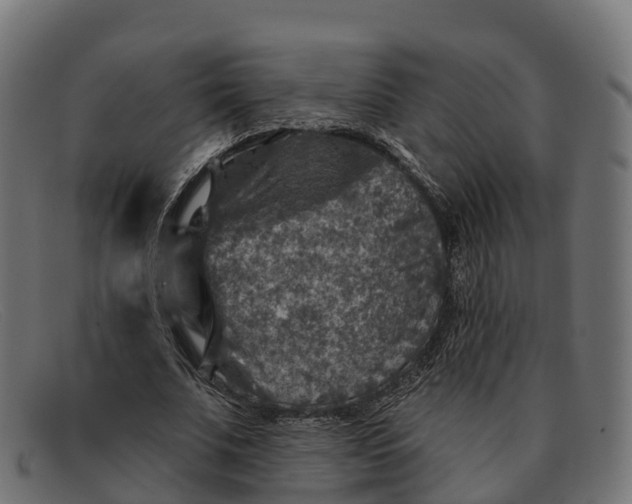 X0000091690679200709131607