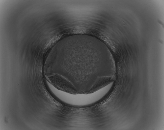 X0000091690681200709131607