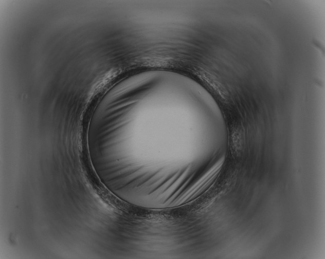 X0000091690682200709131607