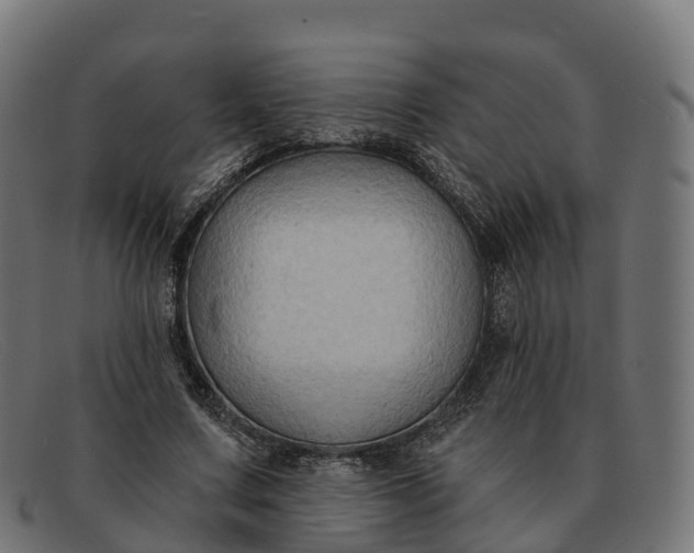 X0000091690683200709131607