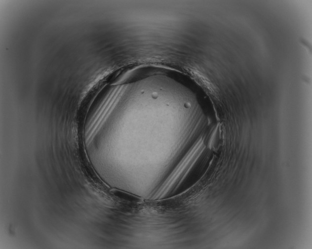 X0000091690684200709131607