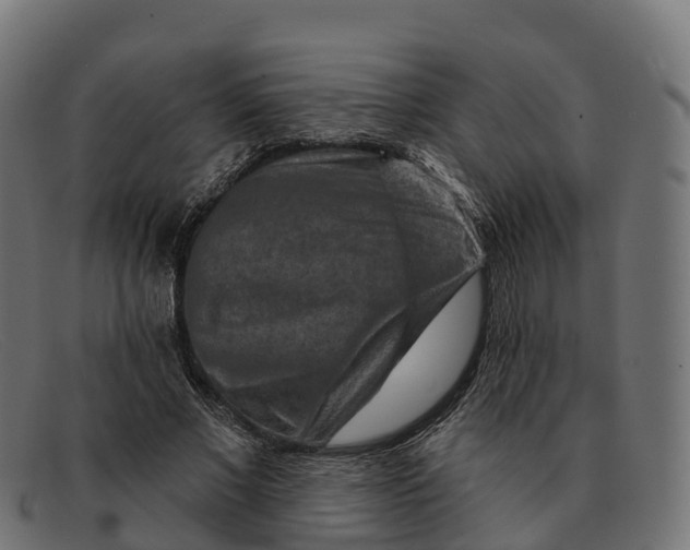 X0000091690685200709131607