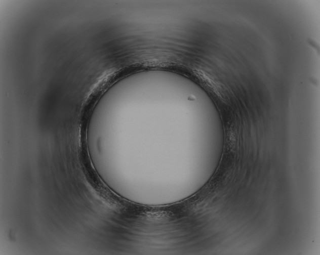 X0000091690686200709131607