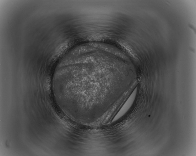 X0000091690687200709131607