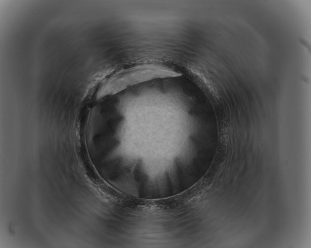 X0000091690688200709131607