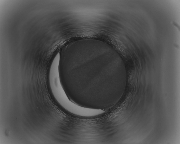 X0000091690689200709131607