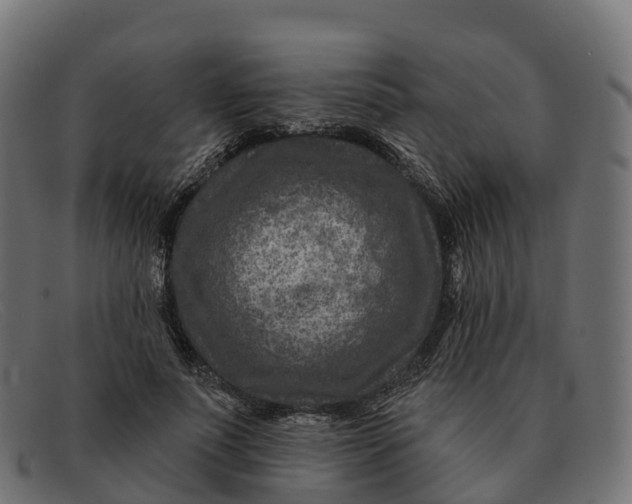 X0000091690691200709131607