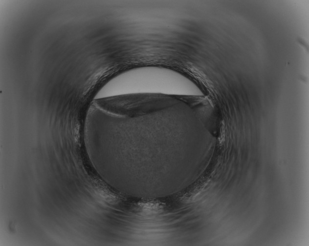 X0000091690693200709131607