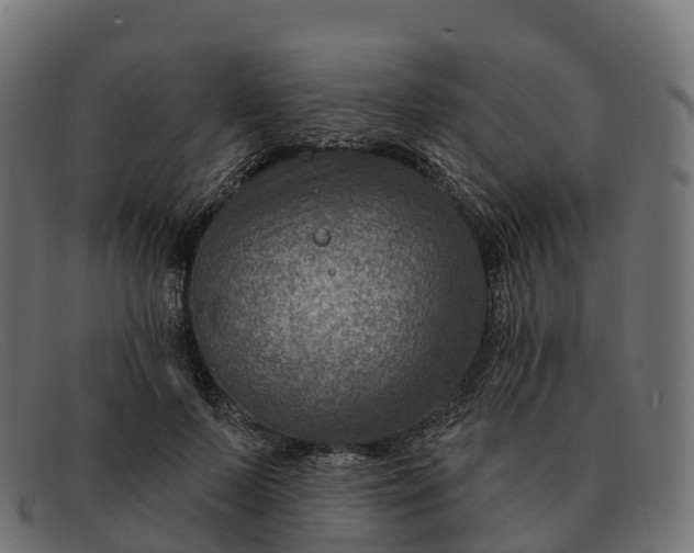 X0000091690695200709131607