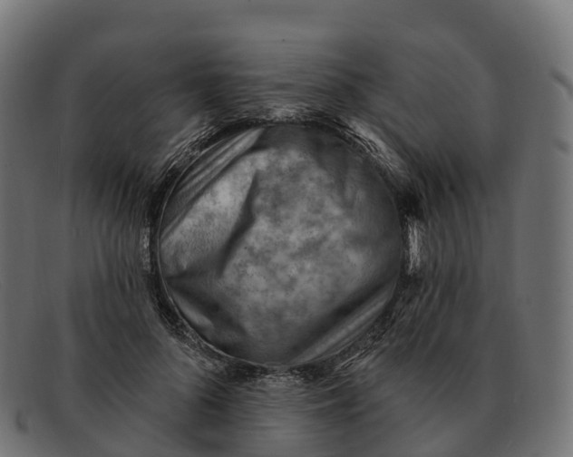 X0000091690696200709131607