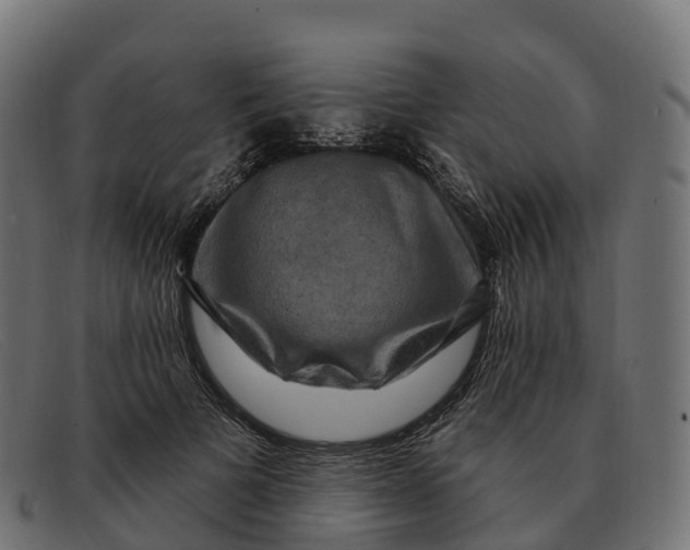 X0000091690697200709131607