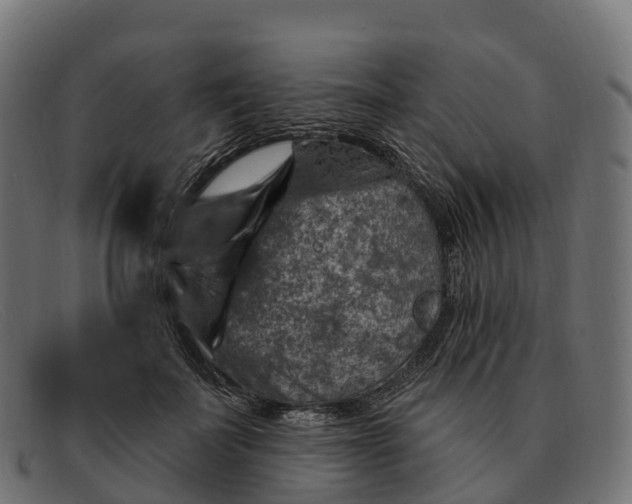 X0000091690699200709131607