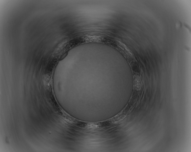 X0000091690701200709131607