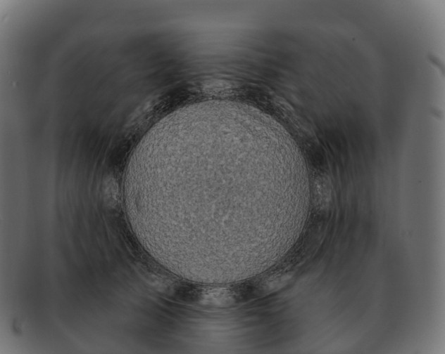 X0000091690705200709131607