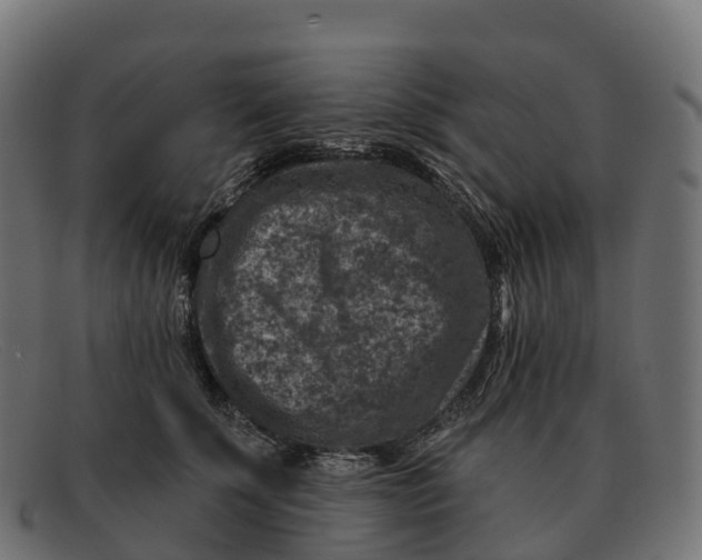 X0000091690707200709131607