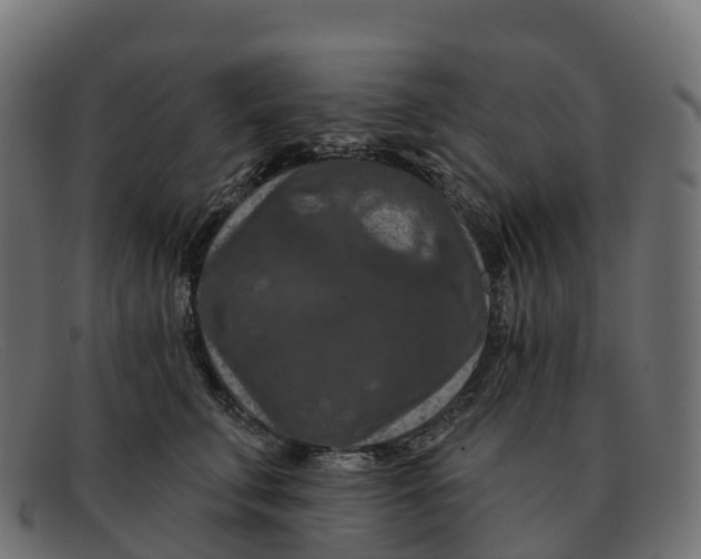 X0000091690711200709131607