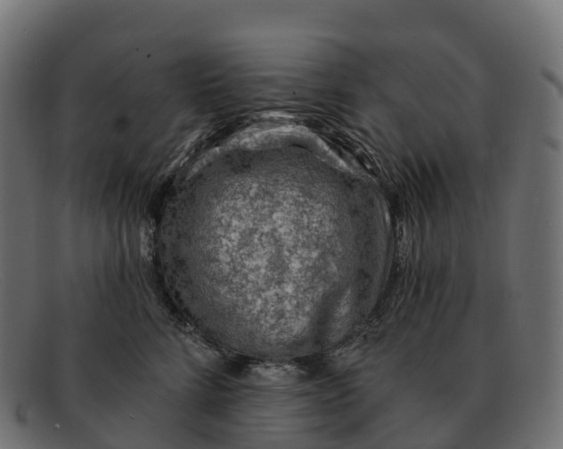 X0000091690712200709131607