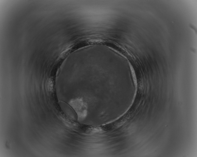 X0000091690715200709131607