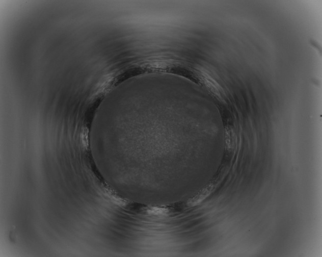 X0000091690718200709131607