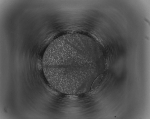 X0000091690719200709131607