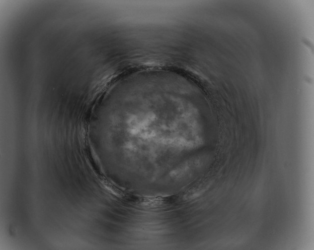 X0000091690720200709131607