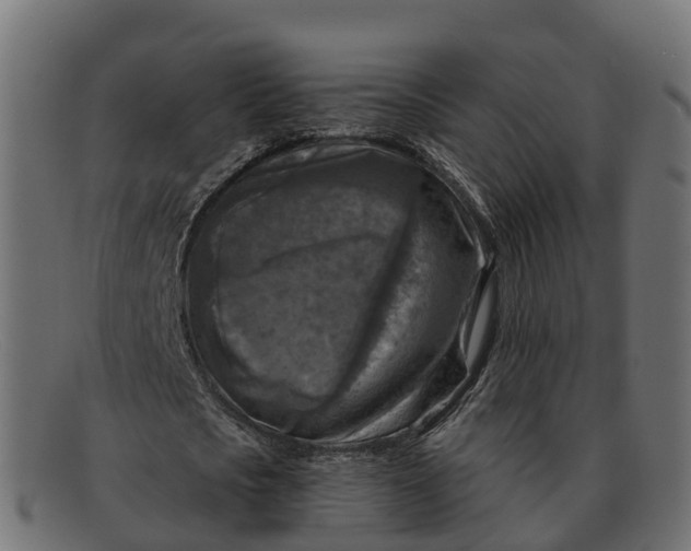 X0000091690721200709131606