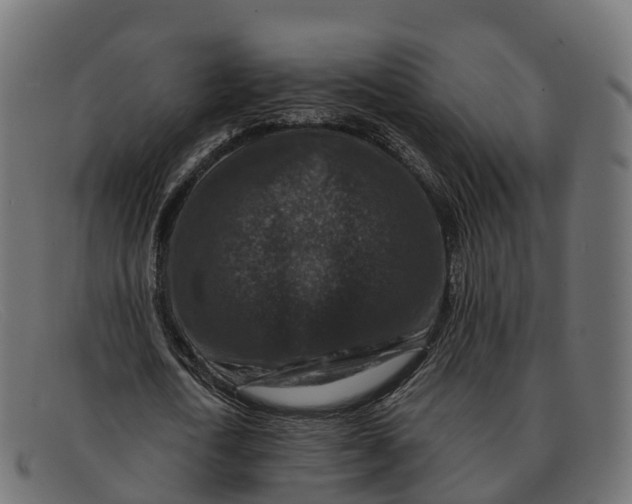 X0000091690722200709131606