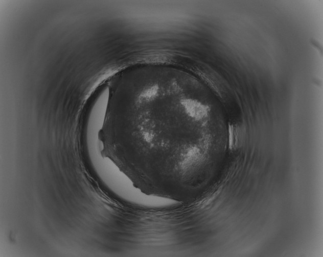 X0000091690723200709131606