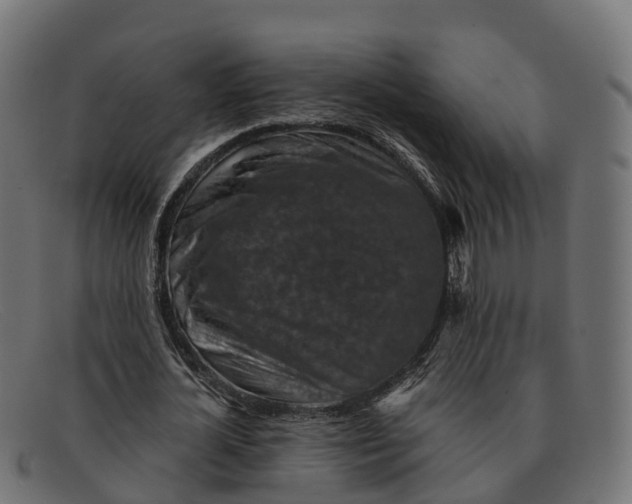 X0000091690724200709131606