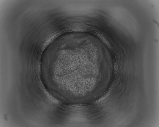 X0000091690725200709131606