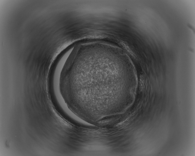 X0000091690726200709131606