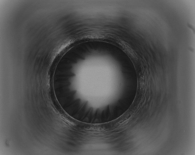 X0000091690727200709131606