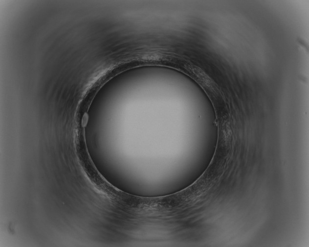 X0000091690728200709131606