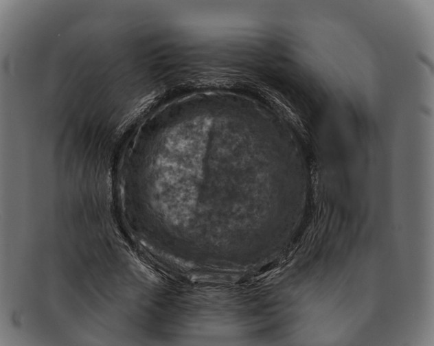 X0000091690729200709131606