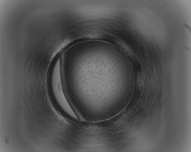 X0000091690730200709131606