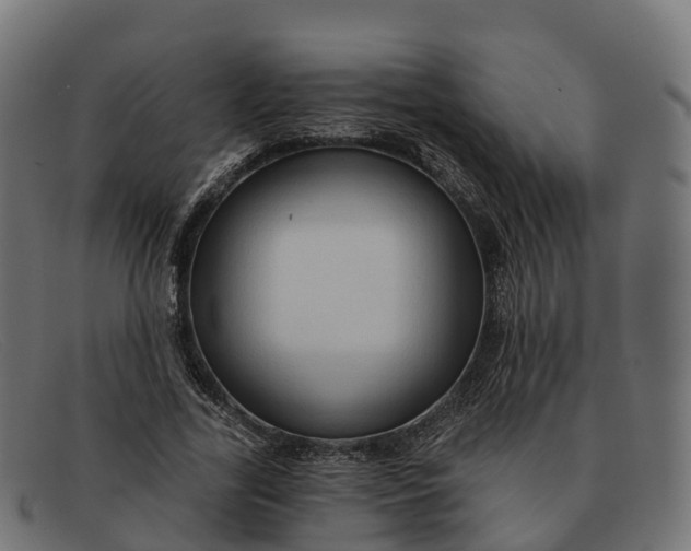 X0000091690731200709131606