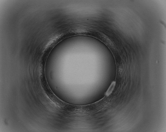 X0000091690732200709131606