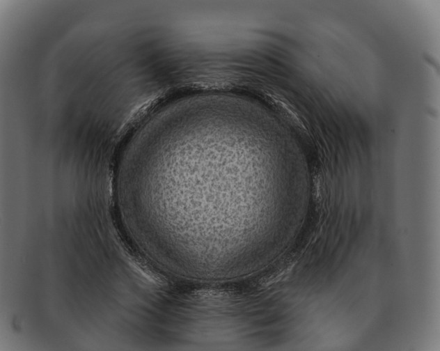 X0000091690733200709131606