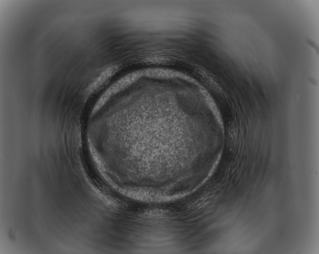 X0000091690734200709131606